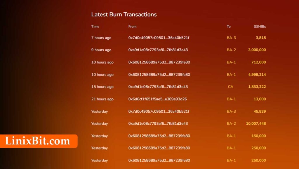 Shiba Inu Token Price Surges Following Massive 11 Million Coin Burn in a Single Day