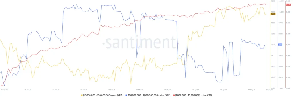 Data shows XRP whales are buying