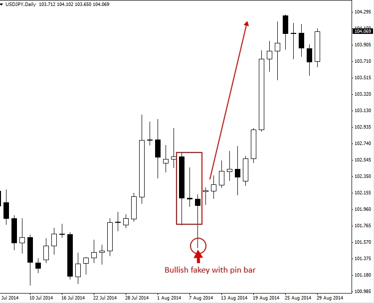 A bullish fakey pin bar pattern